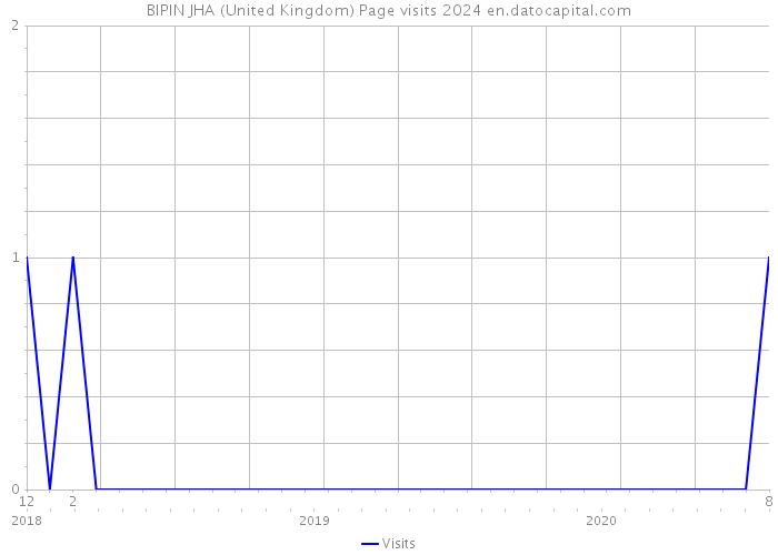 BIPIN JHA (United Kingdom) Page visits 2024 