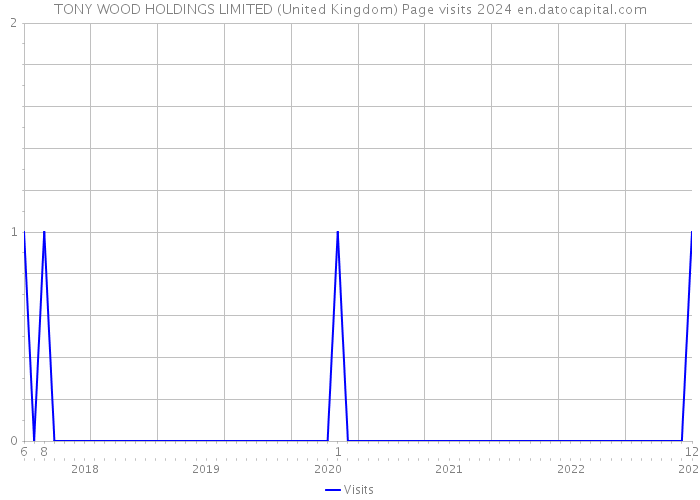 TONY WOOD HOLDINGS LIMITED (United Kingdom) Page visits 2024 