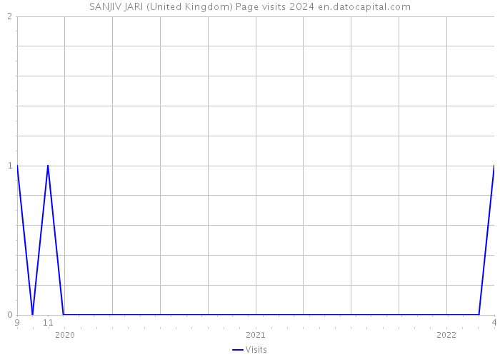 SANJIV JARI (United Kingdom) Page visits 2024 