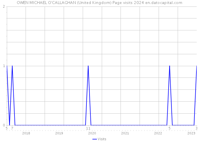 OWEN MICHAEL O'CALLAGHAN (United Kingdom) Page visits 2024 
