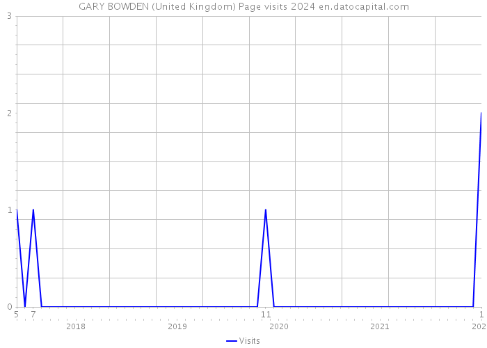 GARY BOWDEN (United Kingdom) Page visits 2024 