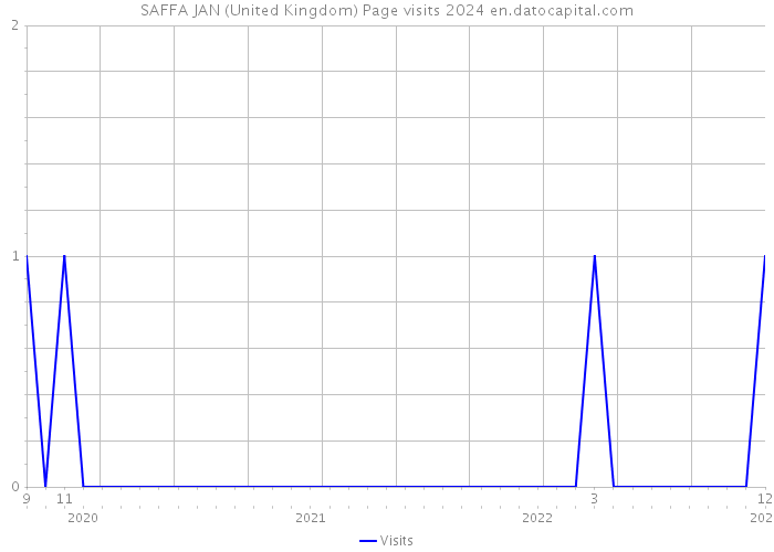SAFFA JAN (United Kingdom) Page visits 2024 