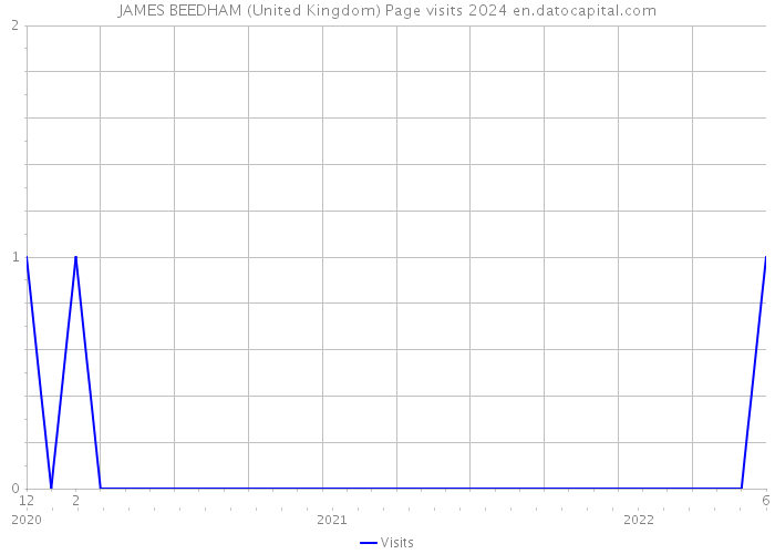JAMES BEEDHAM (United Kingdom) Page visits 2024 
