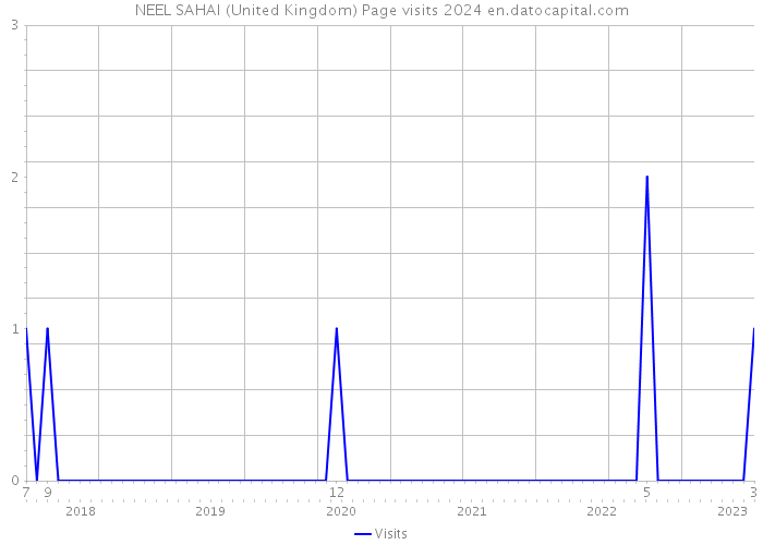 NEEL SAHAI (United Kingdom) Page visits 2024 