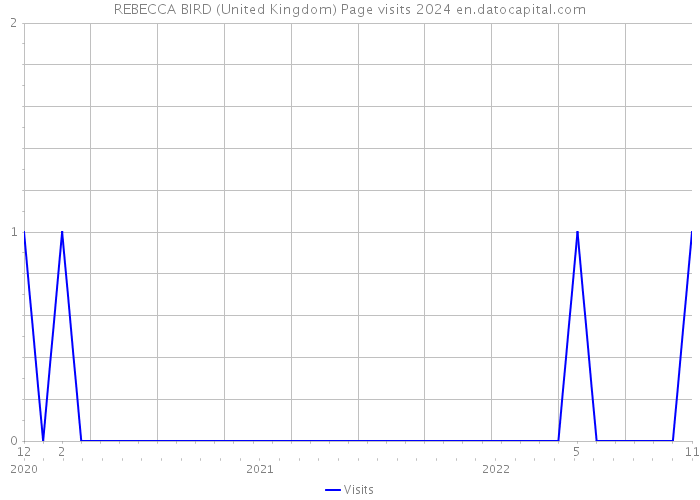 REBECCA BIRD (United Kingdom) Page visits 2024 