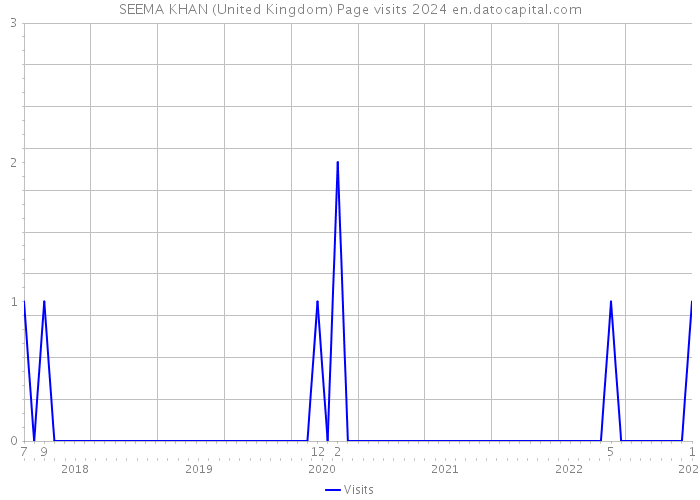 SEEMA KHAN (United Kingdom) Page visits 2024 