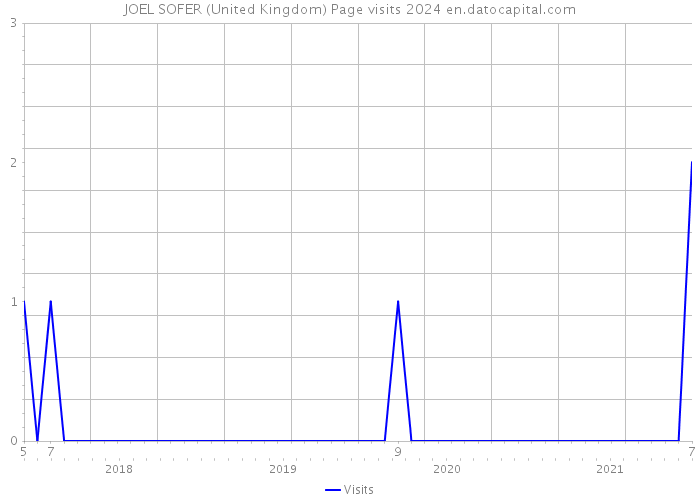 JOEL SOFER (United Kingdom) Page visits 2024 