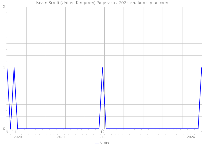 Istvan Brodi (United Kingdom) Page visits 2024 