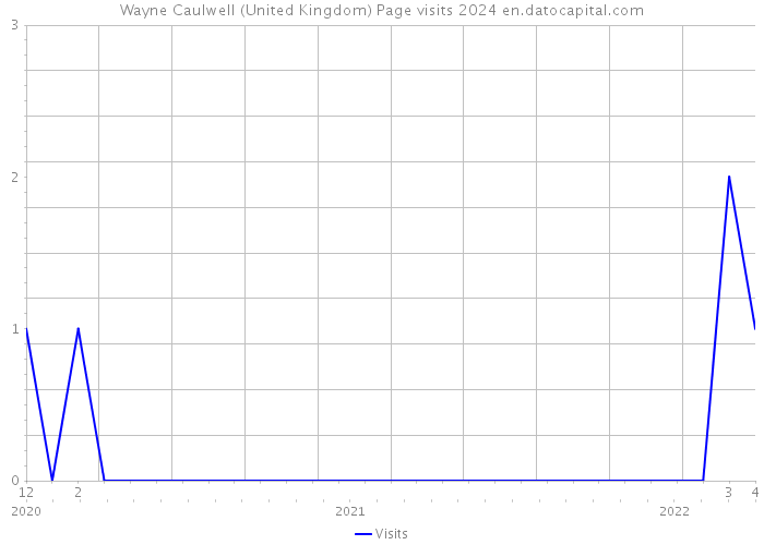 Wayne Caulwell (United Kingdom) Page visits 2024 