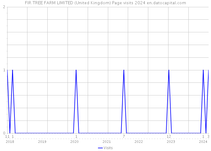FIR TREE FARM LIMITED (United Kingdom) Page visits 2024 