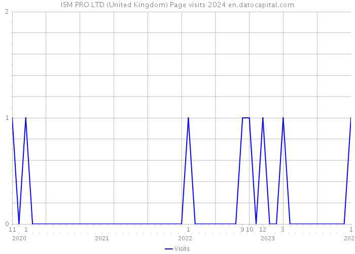 ISM PRO LTD (United Kingdom) Page visits 2024 