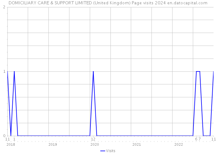 DOMICILIARY CARE & SUPPORT LIMITED (United Kingdom) Page visits 2024 