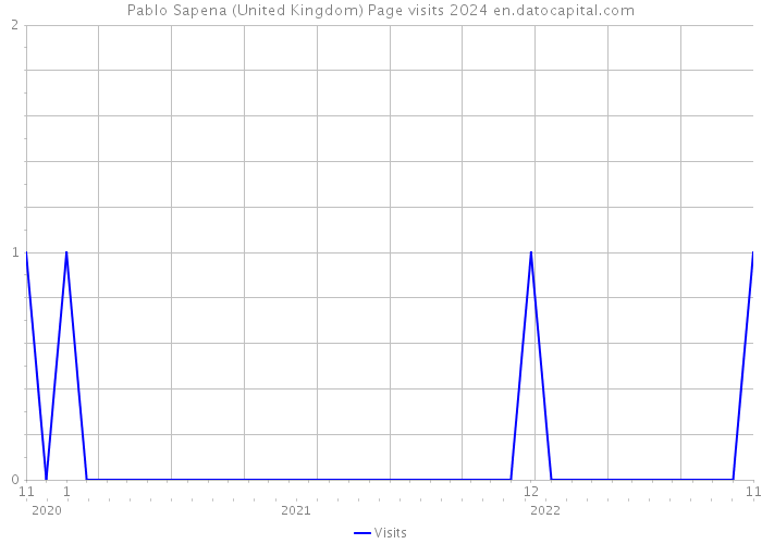 Pablo Sapena (United Kingdom) Page visits 2024 