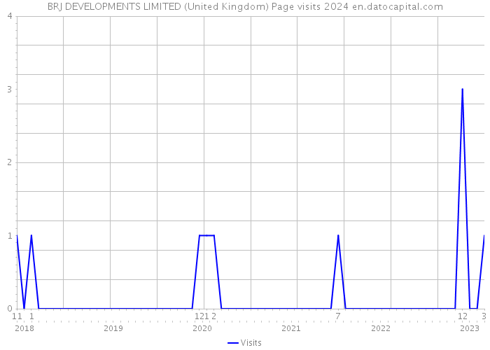 BRJ DEVELOPMENTS LIMITED (United Kingdom) Page visits 2024 
