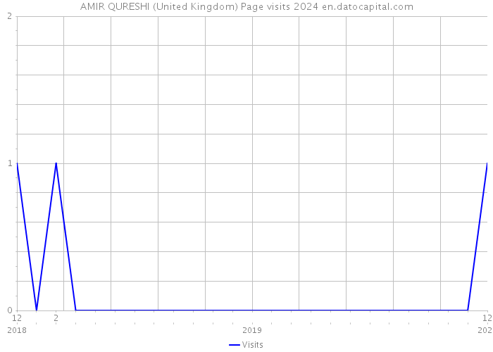 AMIR QURESHI (United Kingdom) Page visits 2024 