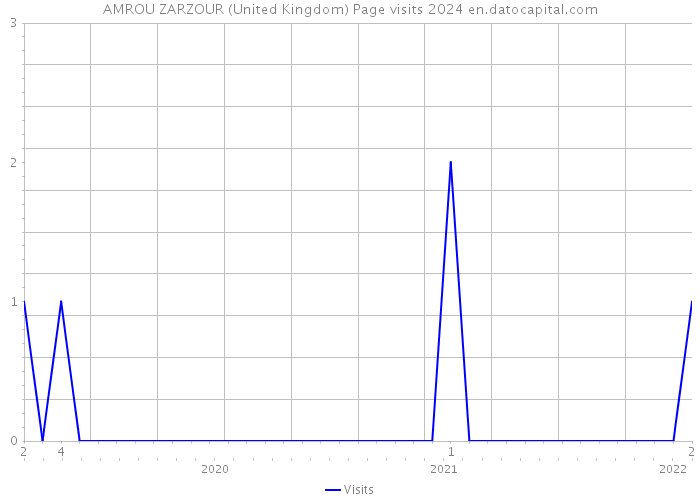 AMROU ZARZOUR (United Kingdom) Page visits 2024 