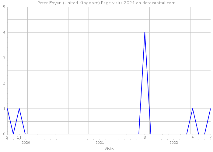 Peter Enyan (United Kingdom) Page visits 2024 
