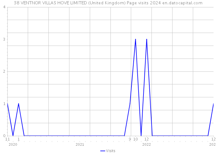 38 VENTNOR VILLAS HOVE LIMITED (United Kingdom) Page visits 2024 