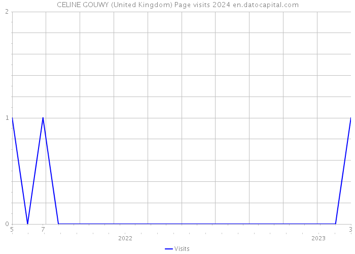 CELINE GOUWY (United Kingdom) Page visits 2024 