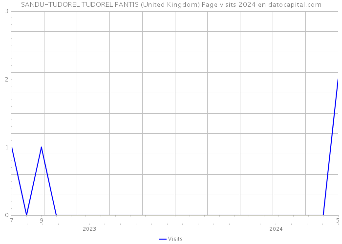 SANDU-TUDOREL TUDOREL PANTIS (United Kingdom) Page visits 2024 