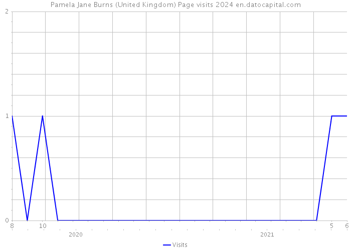 Pamela Jane Burns (United Kingdom) Page visits 2024 