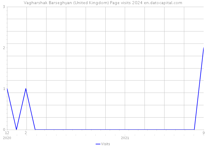 Vagharshak Barseghyan (United Kingdom) Page visits 2024 