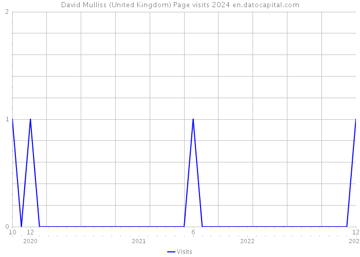 David Mulliss (United Kingdom) Page visits 2024 