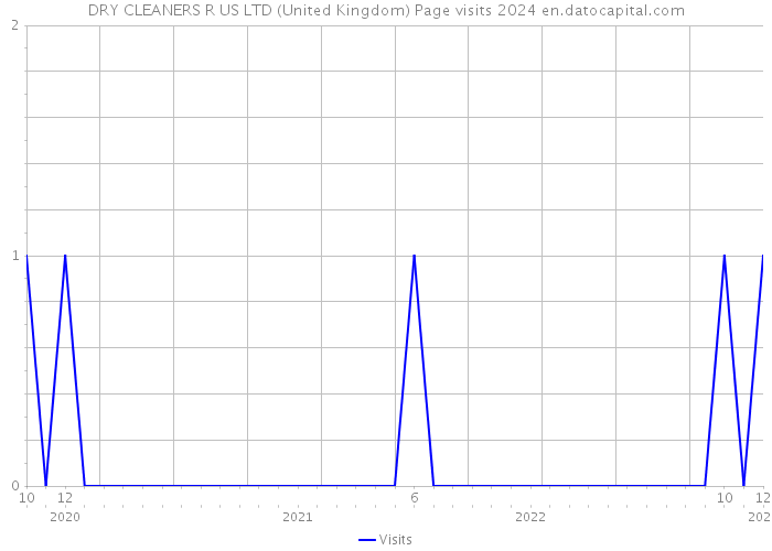 DRY CLEANERS R US LTD (United Kingdom) Page visits 2024 