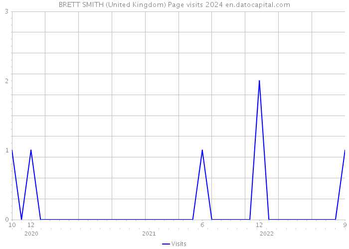 BRETT SMITH (United Kingdom) Page visits 2024 