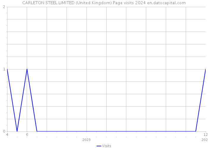 CARLETON STEEL LIMITED (United Kingdom) Page visits 2024 