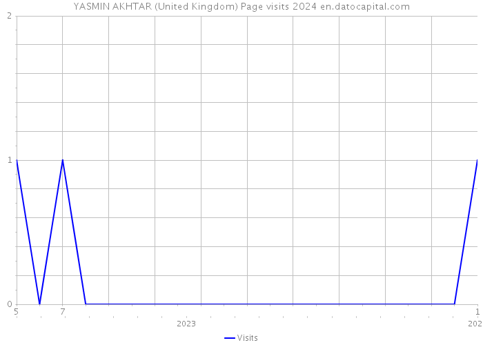 YASMIN AKHTAR (United Kingdom) Page visits 2024 