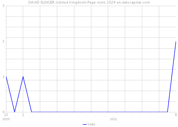 DAVID SLINGER (United Kingdom) Page visits 2024 