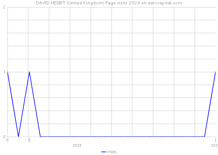 DAVID NESBIT (United Kingdom) Page visits 2024 