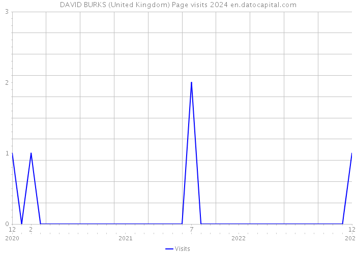 DAVID BURKS (United Kingdom) Page visits 2024 
