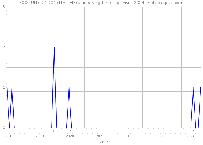 COSKUN (LONDON) LIMITED (United Kingdom) Page visits 2024 