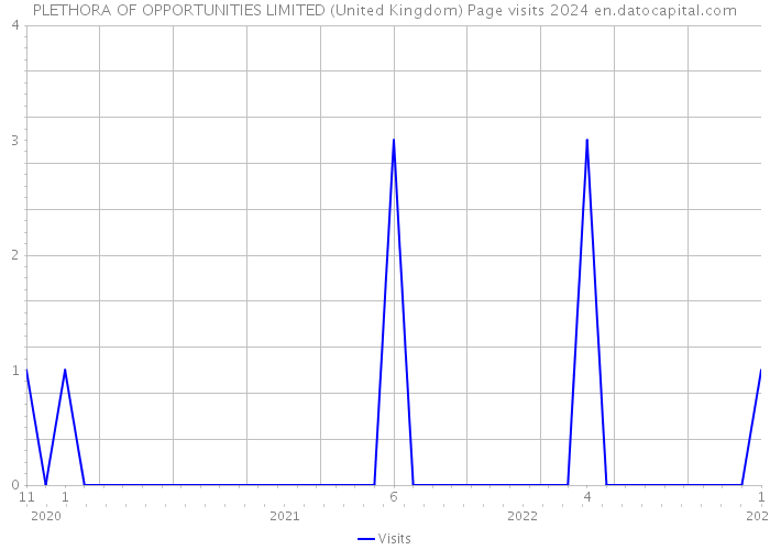 PLETHORA OF OPPORTUNITIES LIMITED (United Kingdom) Page visits 2024 