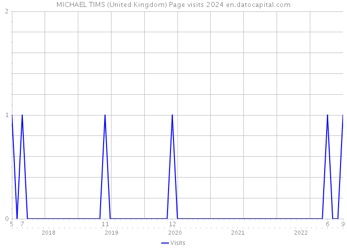 MICHAEL TIMS (United Kingdom) Page visits 2024 
