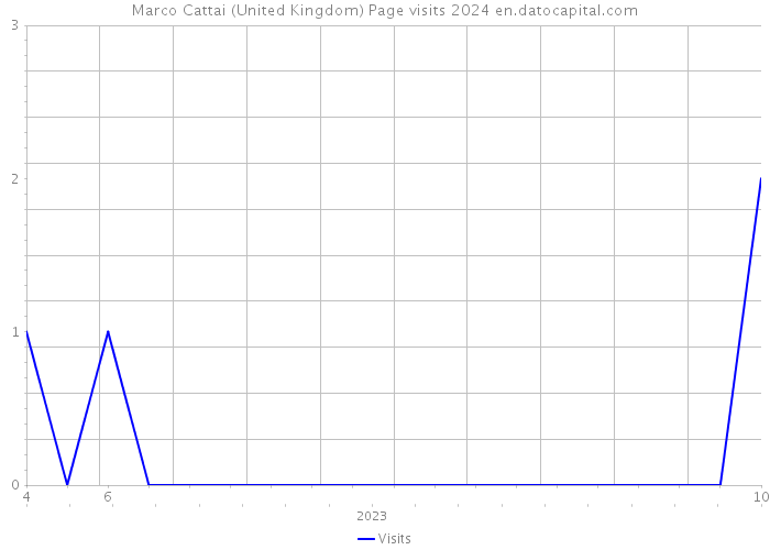 Marco Cattai (United Kingdom) Page visits 2024 