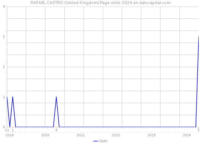 RAFAEL CASTRO (United Kingdom) Page visits 2024 