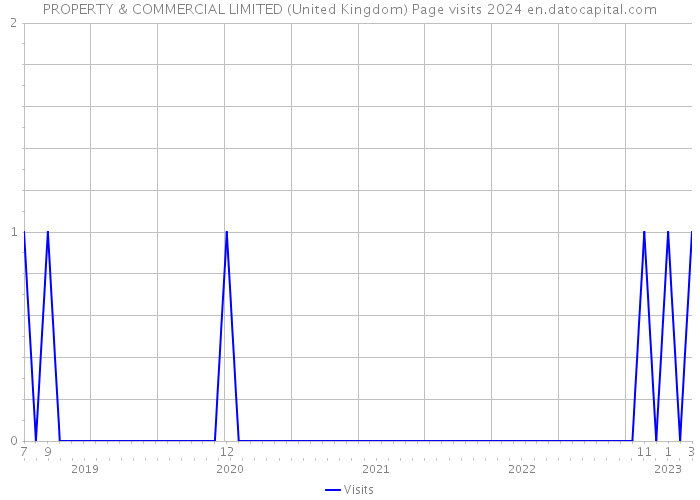 PROPERTY & COMMERCIAL LIMITED (United Kingdom) Page visits 2024 