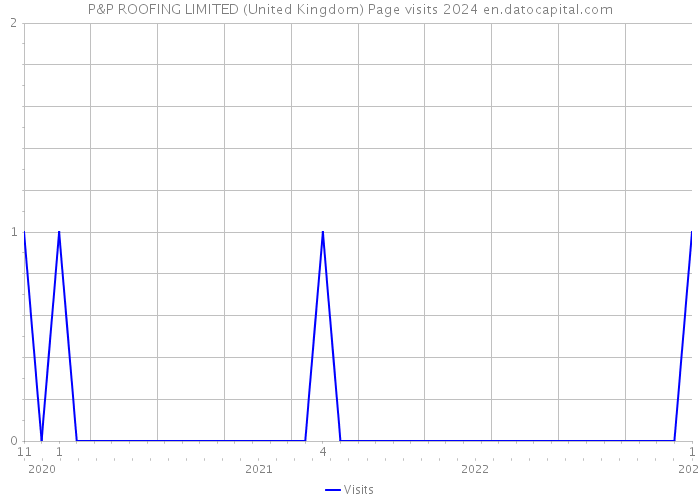 P&P ROOFING LIMITED (United Kingdom) Page visits 2024 
