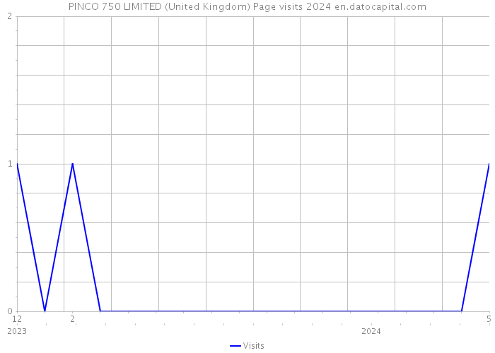 PINCO 750 LIMITED (United Kingdom) Page visits 2024 