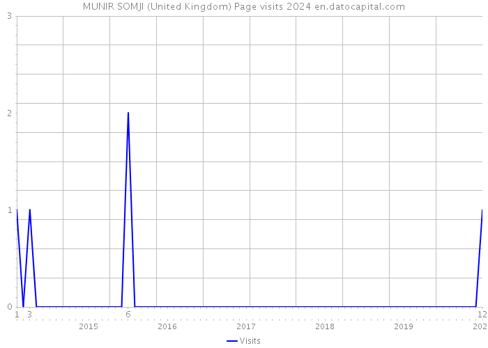 MUNIR SOMJI (United Kingdom) Page visits 2024 