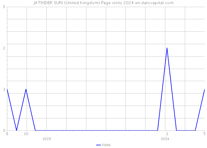 JATINDER SURI (United Kingdom) Page visits 2024 