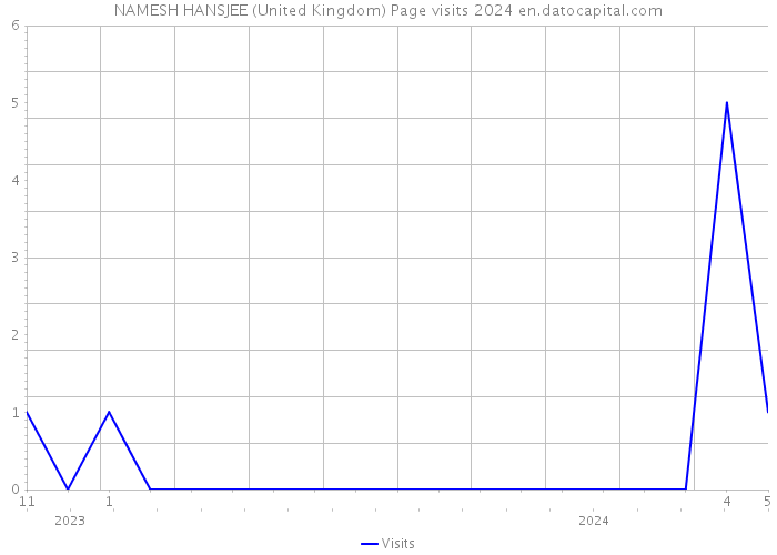 NAMESH HANSJEE (United Kingdom) Page visits 2024 
