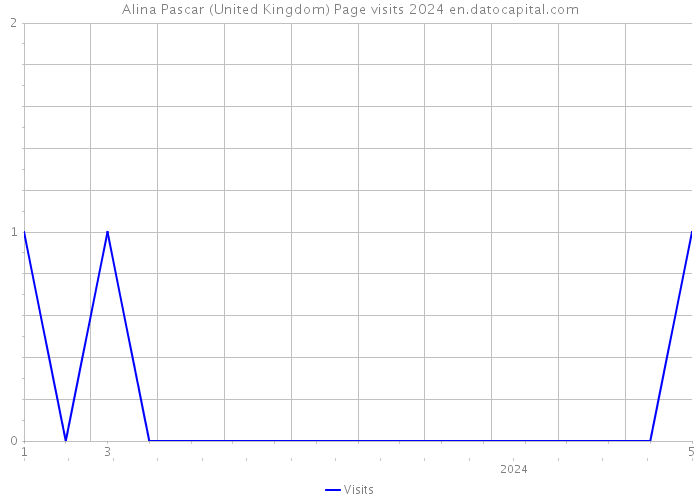 Alina Pascar (United Kingdom) Page visits 2024 