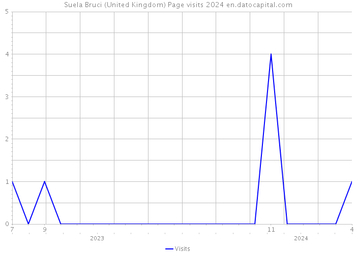 Suela Bruci (United Kingdom) Page visits 2024 