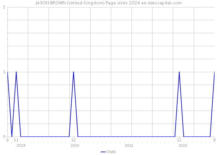 JASON BROWN (United Kingdom) Page visits 2024 