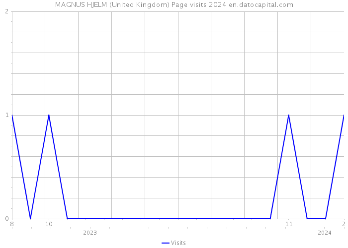 MAGNUS HJELM (United Kingdom) Page visits 2024 