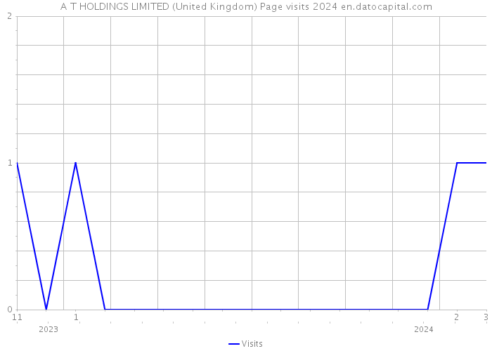 A T HOLDINGS LIMITED (United Kingdom) Page visits 2024 